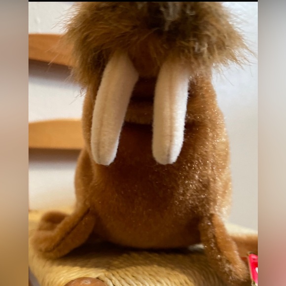 Ty Beanie Babies Original Paul The Walrus
birthday February 23 1999 - Picture 7 of 9